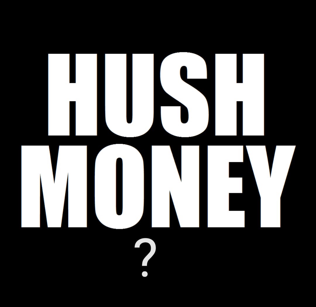 hush-money-barnefjern